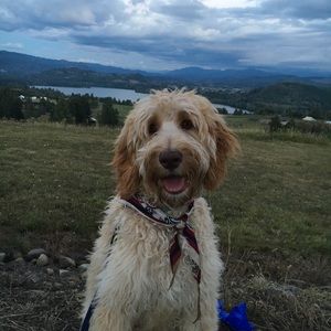 Meet your Posher, Debbie